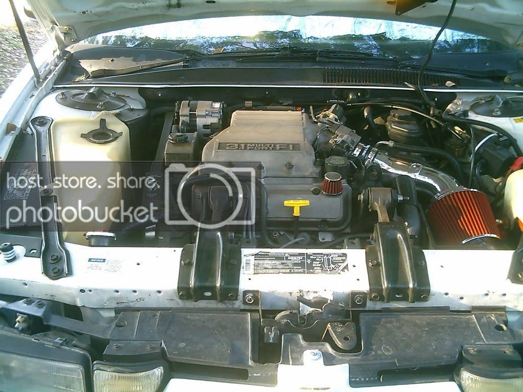 PICT0006.jpg