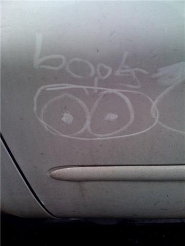 boobs1.jpg