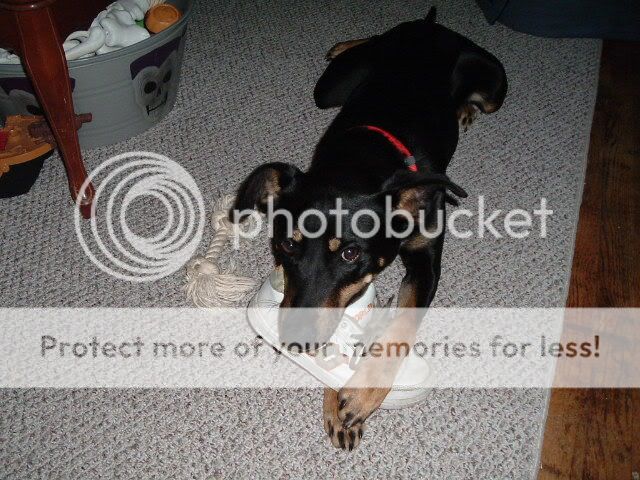 Picture005.jpg