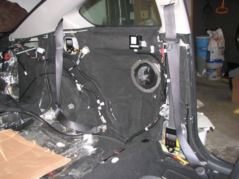 SciontC_rearcavity023.jpg