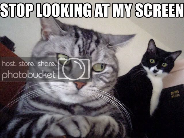 5V55RJNT6OJUNBLCPCGVK5JKC4U3TKGV.jpg