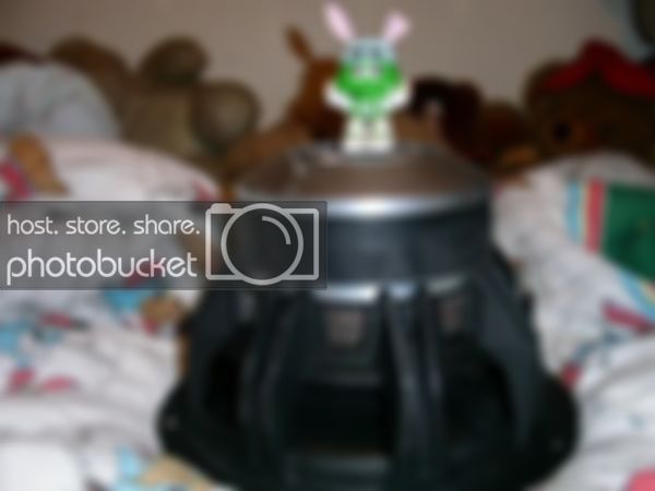 PICT0616.jpg