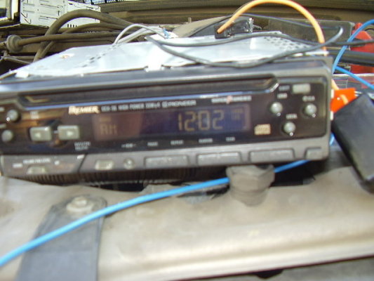 339400915.jpg