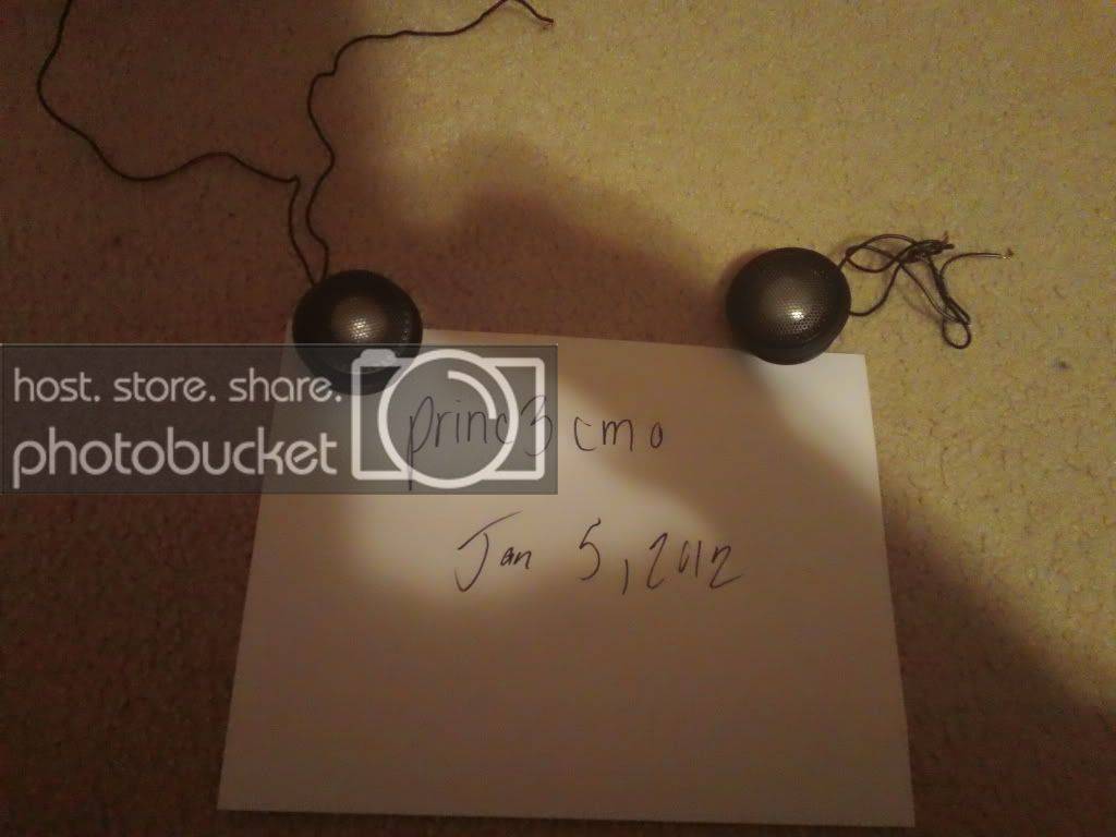 DSC00202.jpg