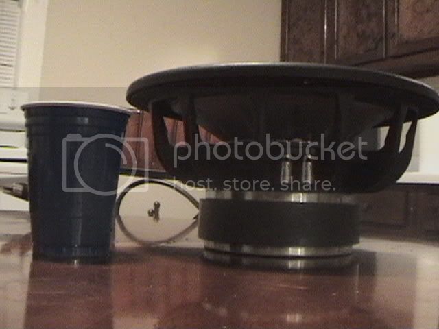 DSC01035.jpg