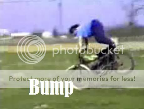 bump.jpg