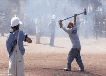 31.gif
