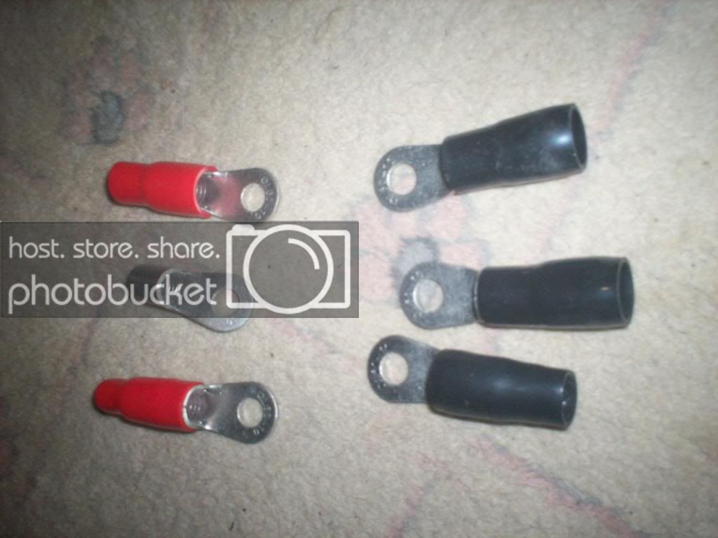 100_0212copy.jpg