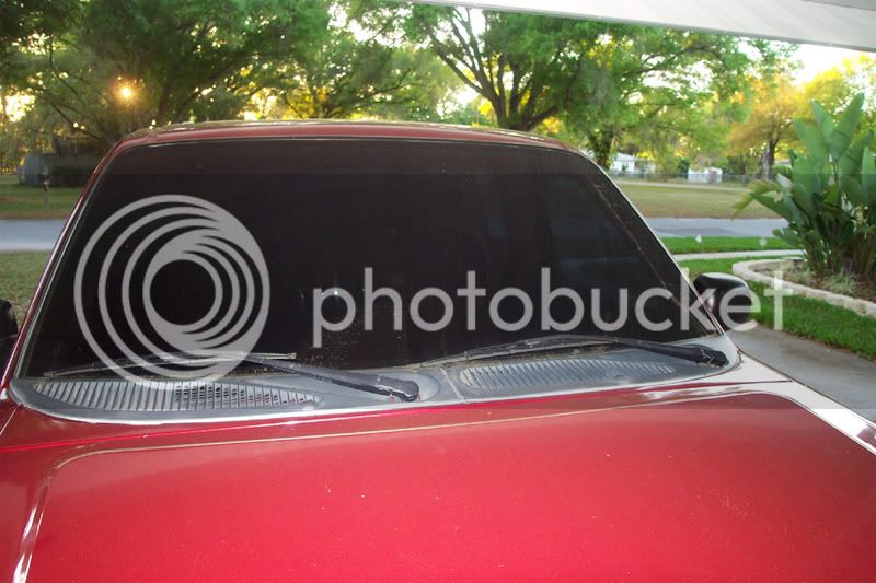 windshield13435.jpg