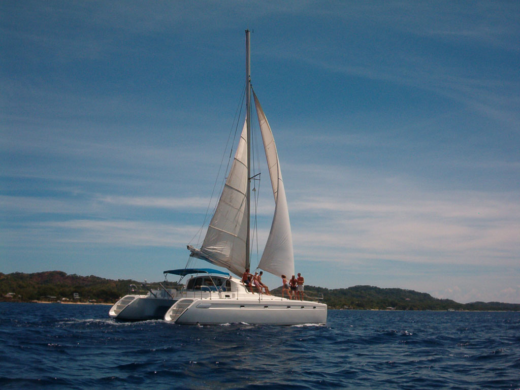 catamaran2.jpg