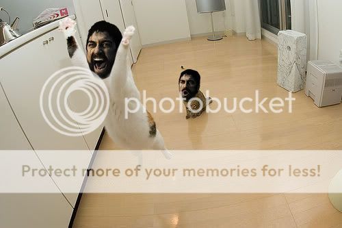 1172042906590.jpg