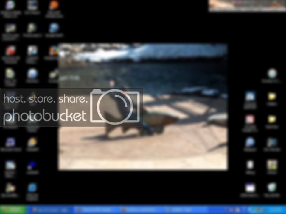 desktop5.jpg