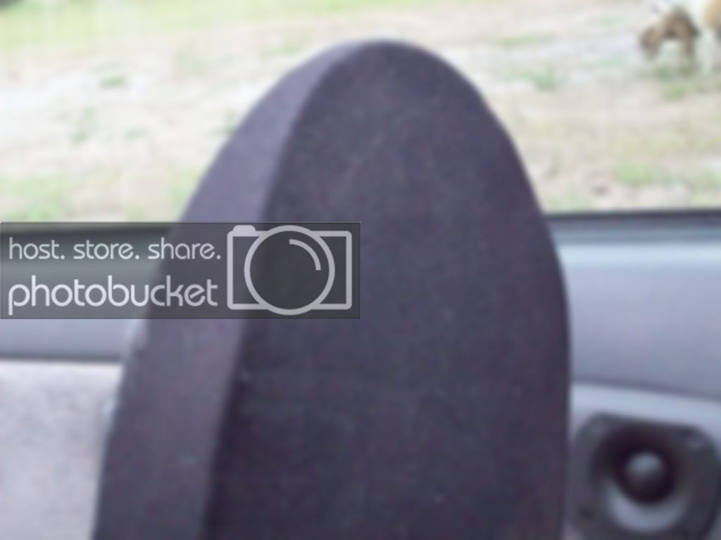 100_2447.jpg