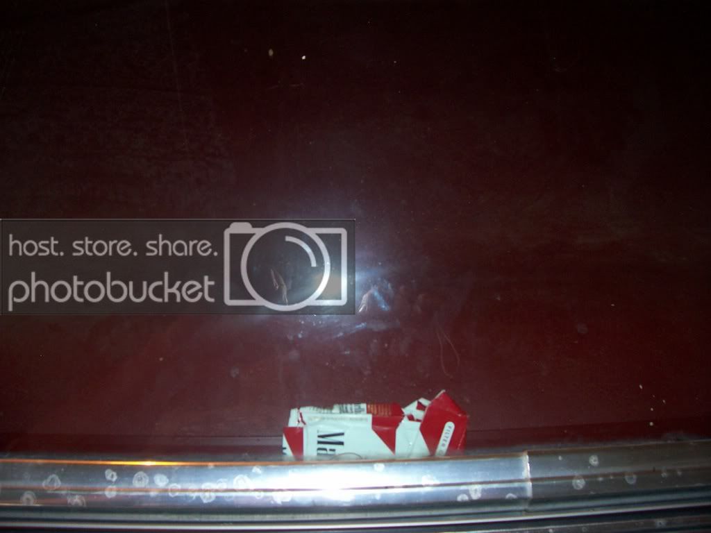 cars009.jpg