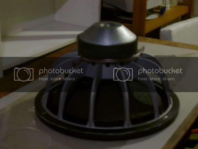 IMGP5379.jpg