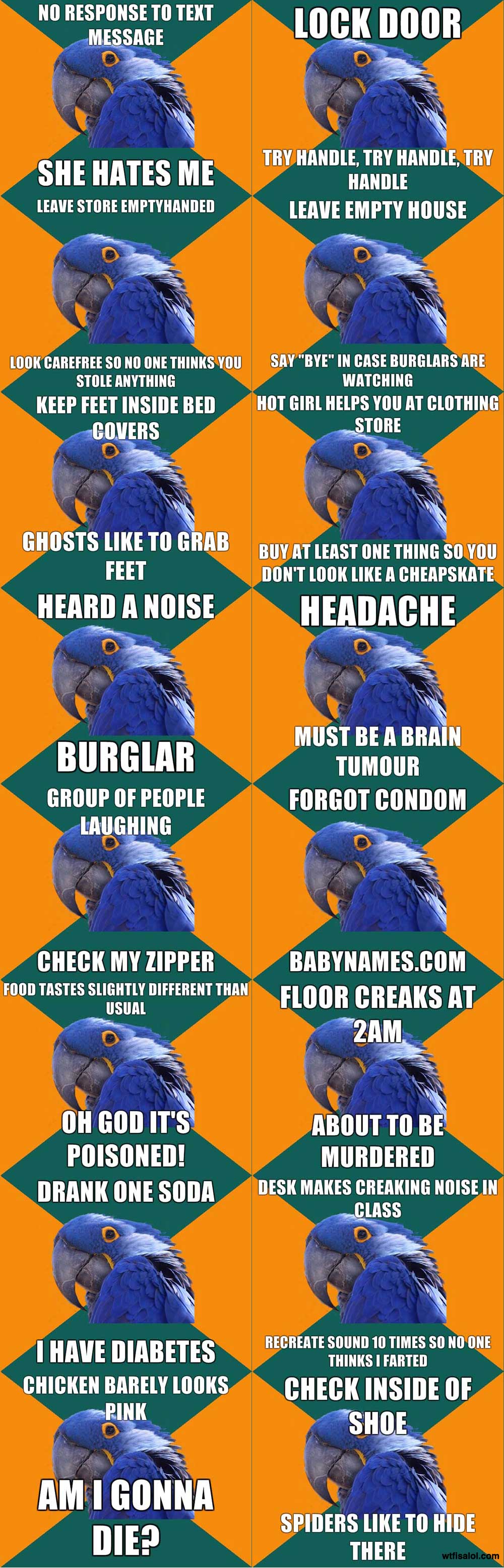 jeR9u.jpg