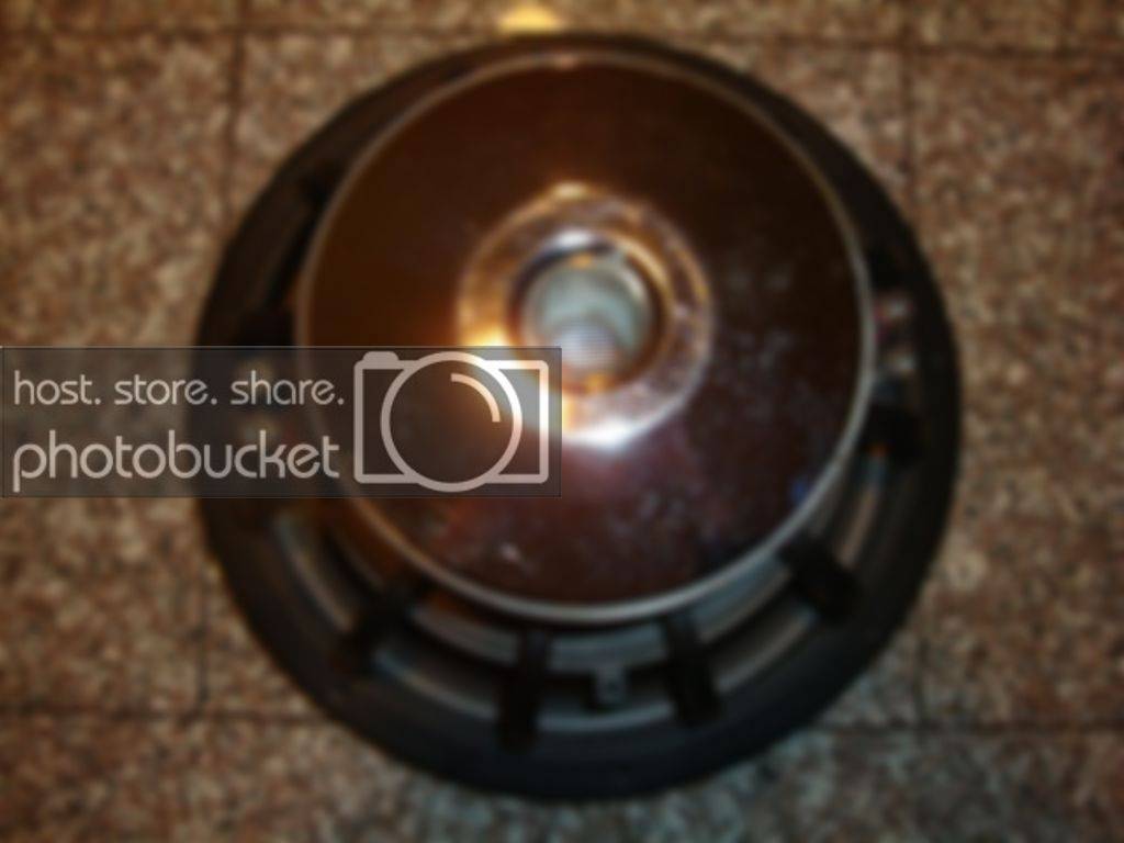 DSC04406.jpg