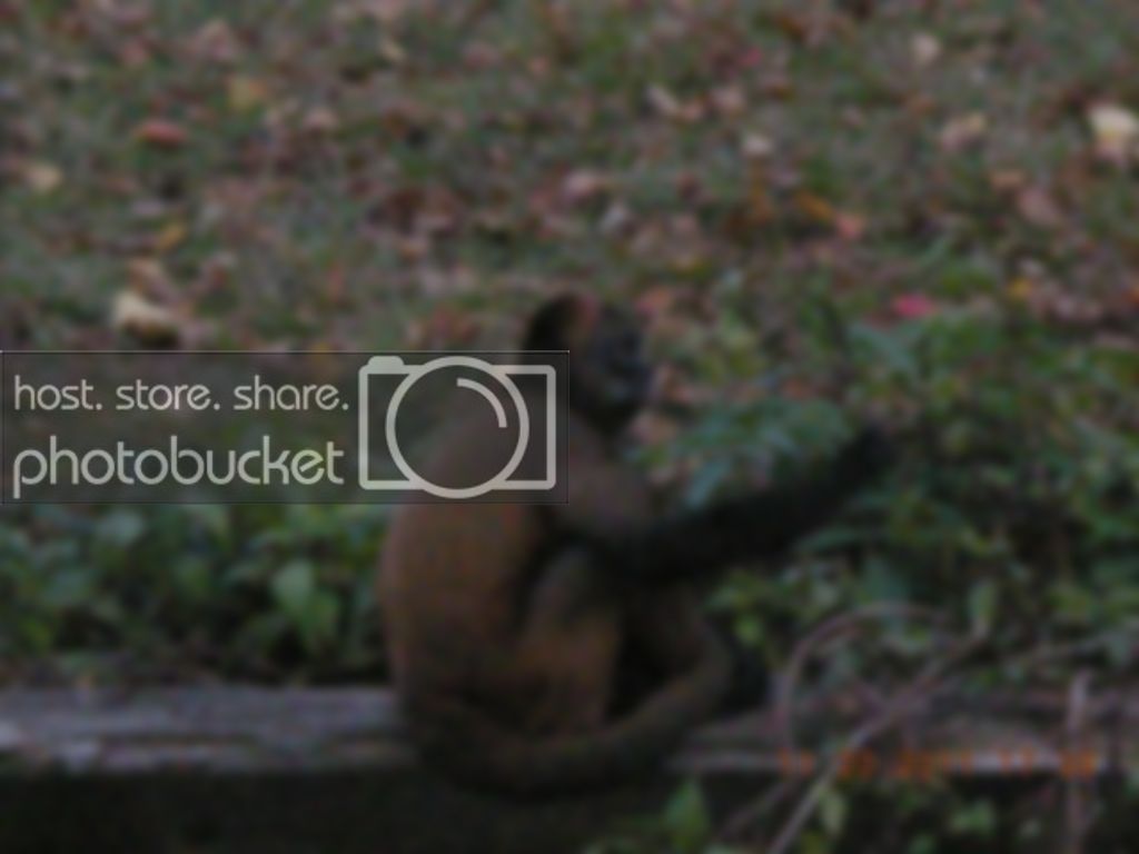 zoo079.jpg