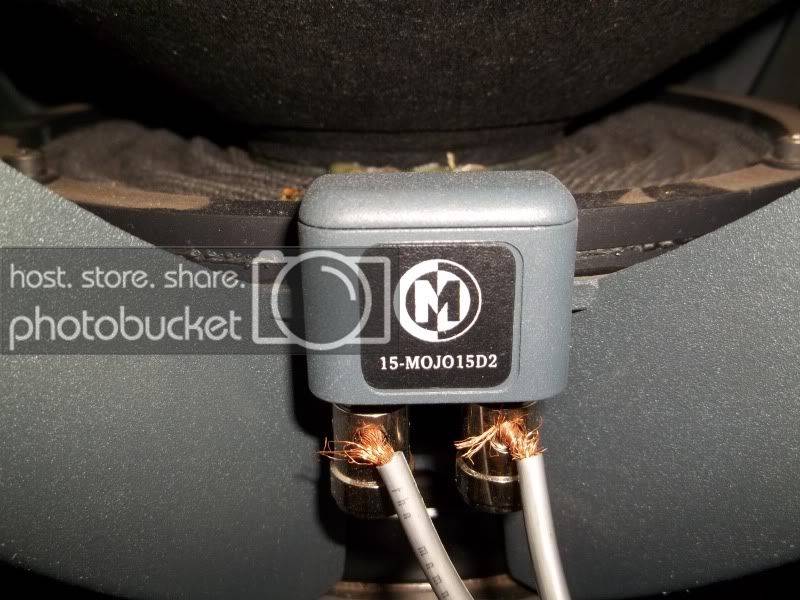 Mojo15D22.jpg