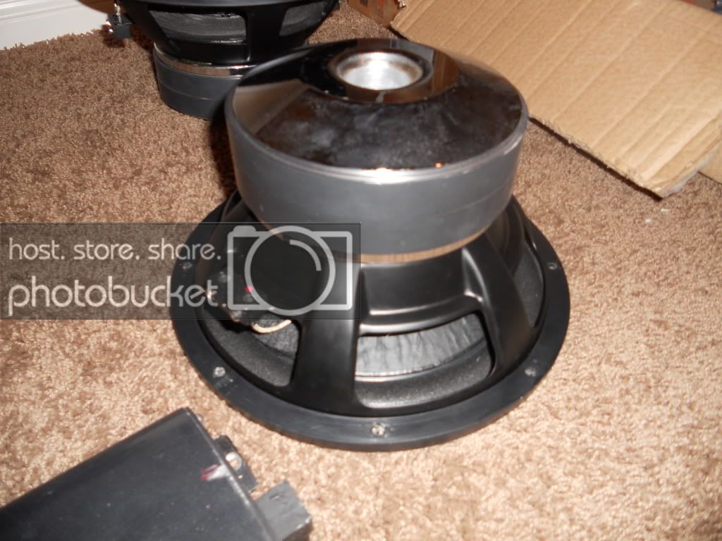 Picture011.jpg