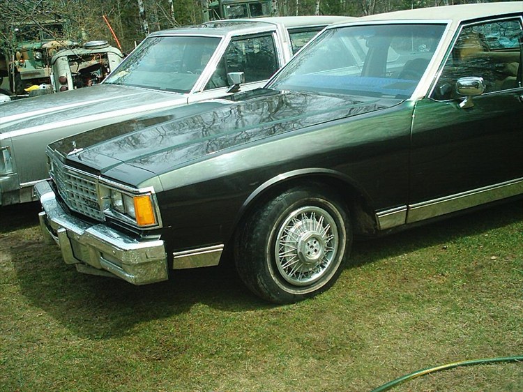 38503090001_large.jpg