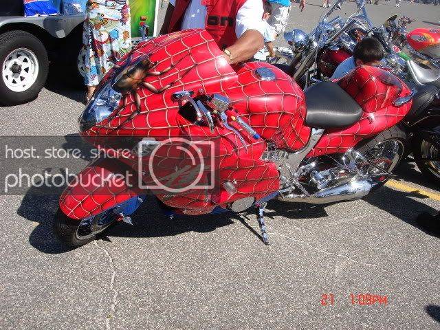 Picture2946.jpg