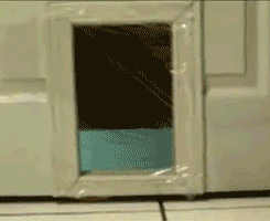tumblr_lrznz9X4s31qzrlhgo4_250.gif