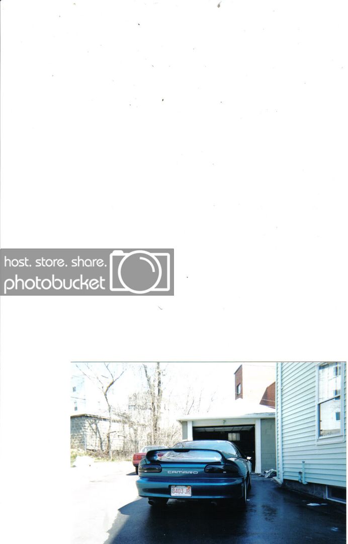 pic8.jpg