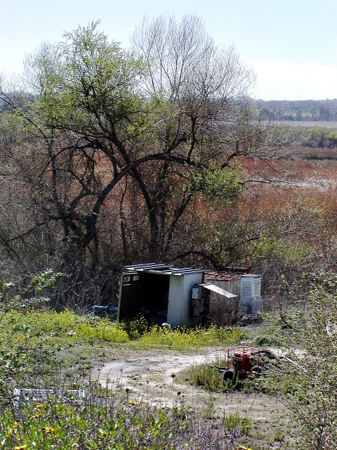 Shack-m.jpg