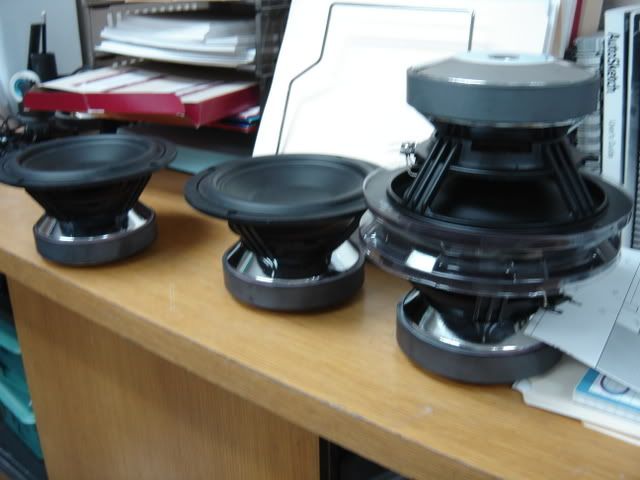 DSC08567.jpg