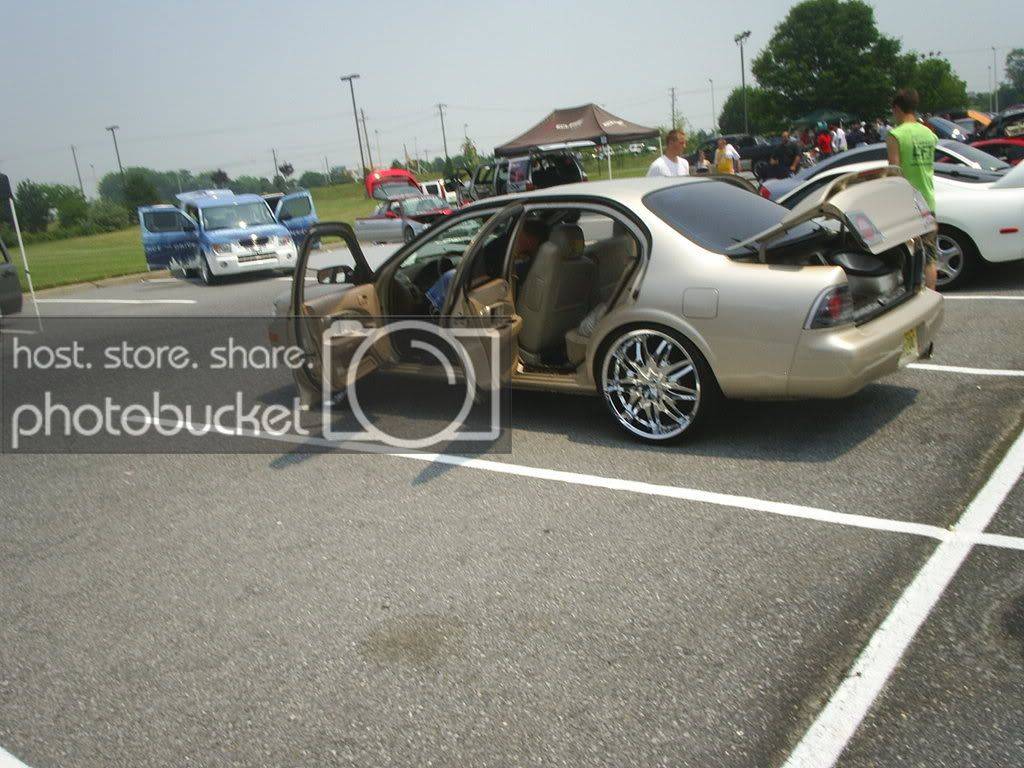 Picture242-1.jpg