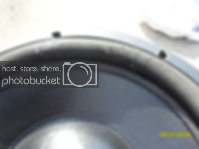 SDC11549.jpg