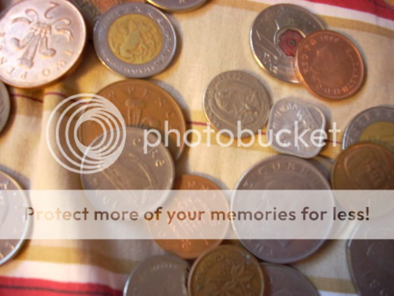 DSCN1355.jpg