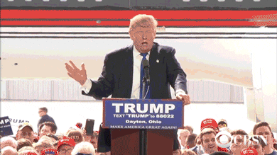 XdcL3AL.gif