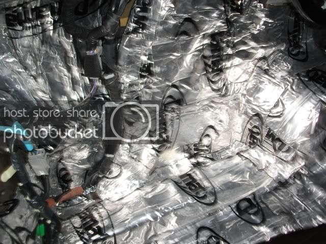 trunk2.jpg
