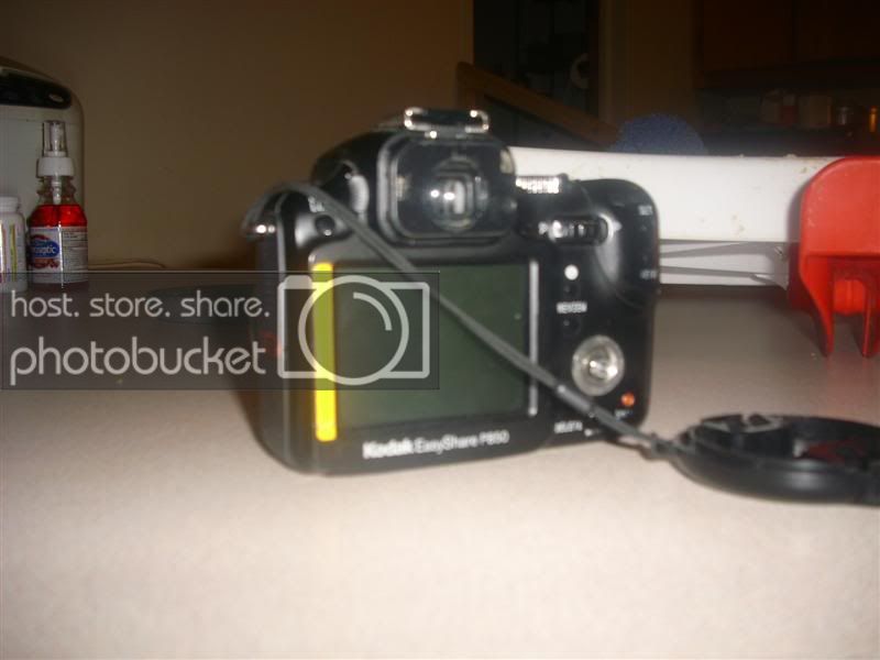 DSCI0228Medium.jpg