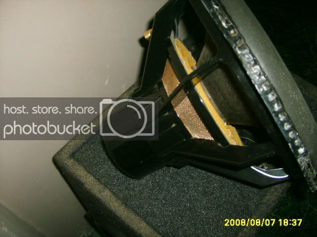 pupCM003.jpg