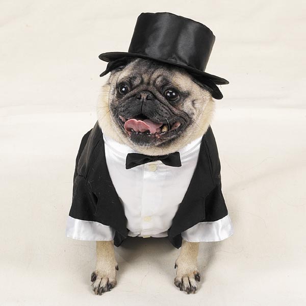 tux20tails20tophat.jpg