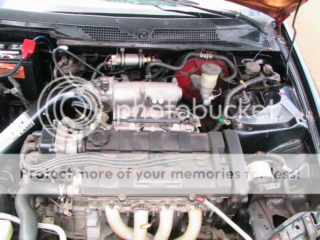 Picture001.jpg