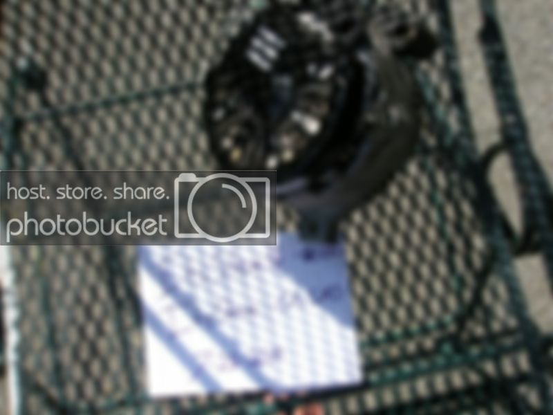P7280304.jpg