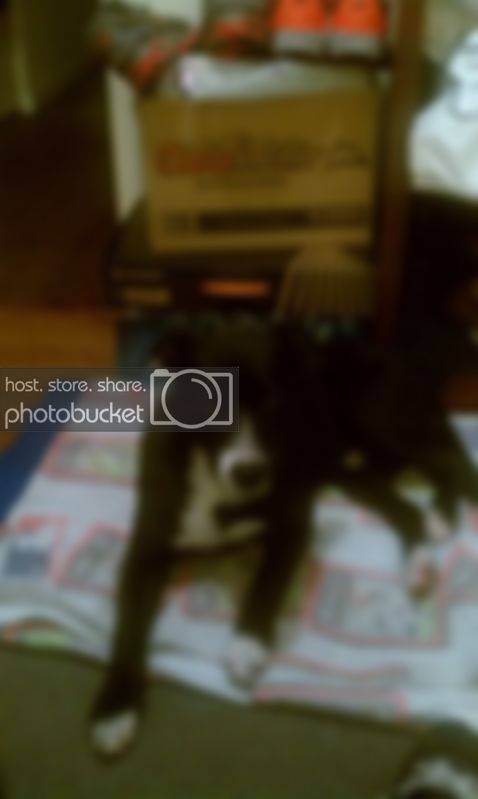 IMAG0034.jpg