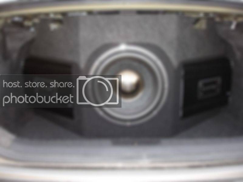 trunk1.jpg