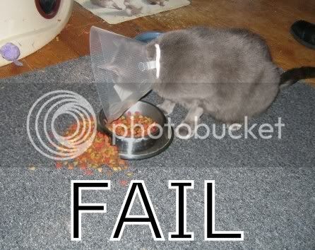 fail.jpg