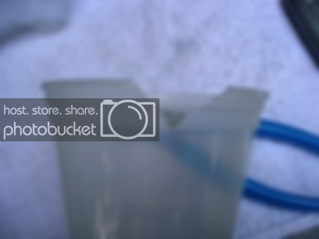 B.jpg