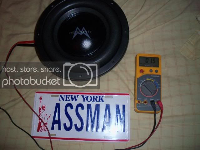 AA10inchdual15002.jpg