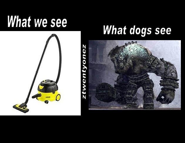 8CpGd.jpg