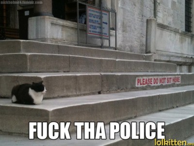 funny-cat-lolcats-rebel.jpg