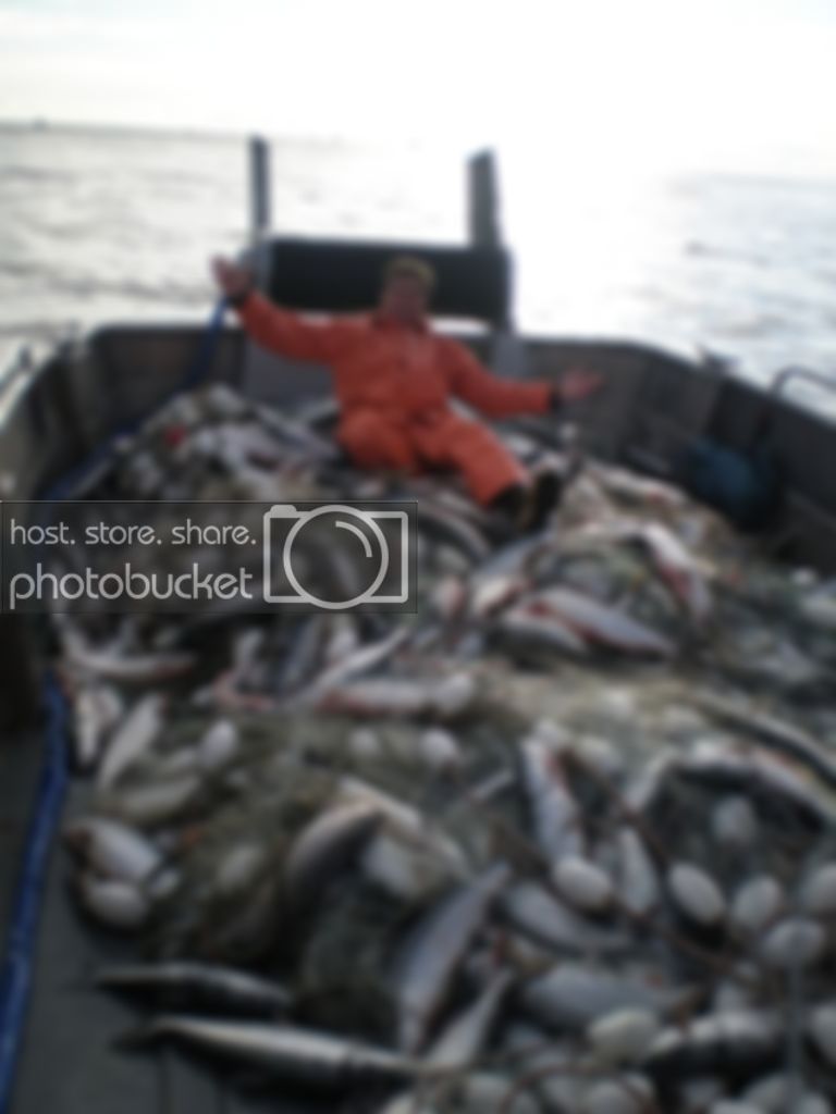 CommercialFishing2007.jpg