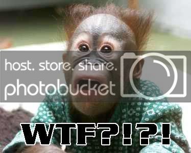 wtfmonkey.jpg