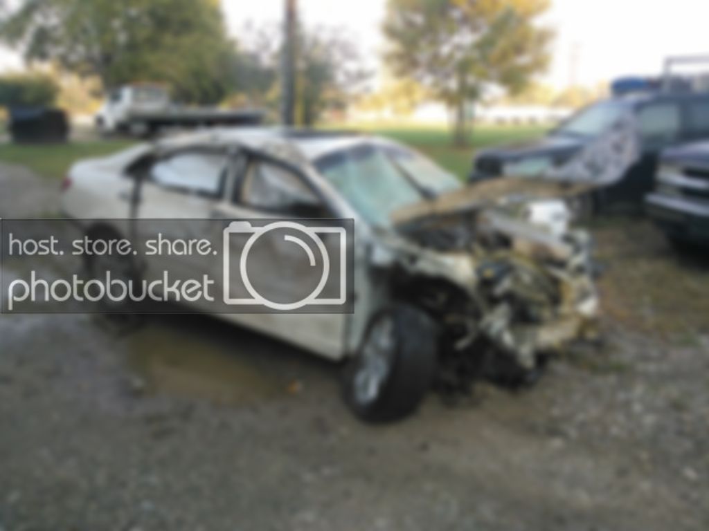 WP_000137.jpg